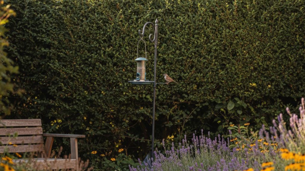 Bird feeder hanging in a UK garden attracting small wild birds feeding on seeds.